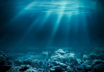 под водой глубокий океан подводные фоны коралловых рифов Виниловая ткань Высококачественная компьютерная печать настенный фон