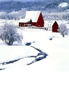 Зимние белые снежные фоны для фотосъемки с домом и деревом, реквизит для фотосъемки, студийный фон 5x7ft