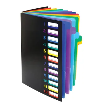 Папка для файлов с 24 прозрачными карманами, 12 цветных вкладок, вмещает 300 листов, органайзер для файлов, пронумерован на обложке 1ШТ
